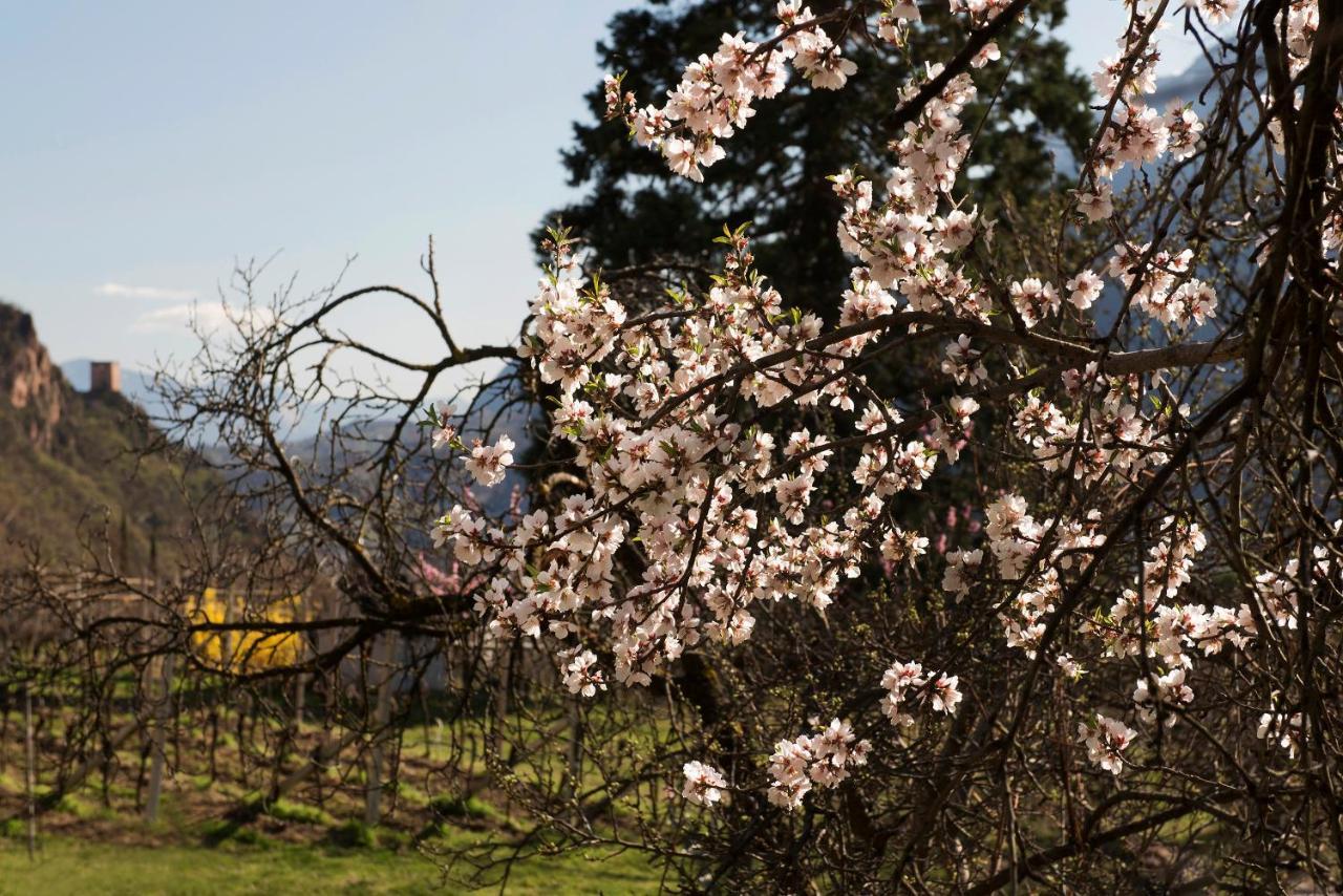Villa Sonnenschein Terlano Bagian luar foto