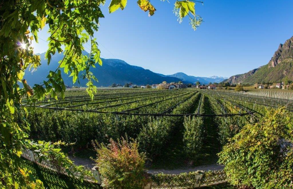 Villa Sonnenschein Terlano Bagian luar foto